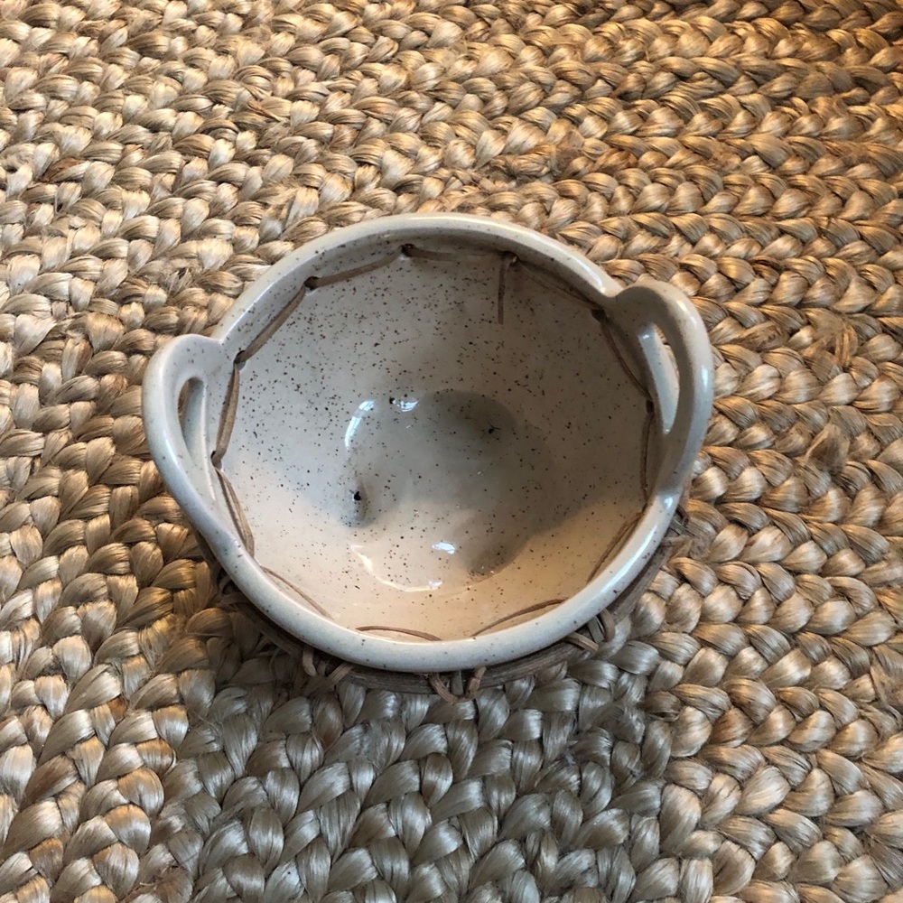 Anthropologie Pacifico Pot